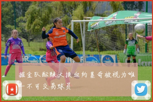 掘金队酝酿大换血约基奇被视为唯一不可交易球员