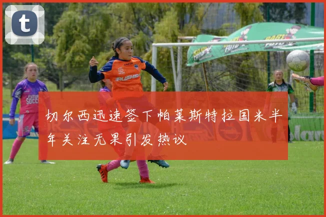 切尔西迅速签下帕莱斯特拉国米半年关注无果引发热议